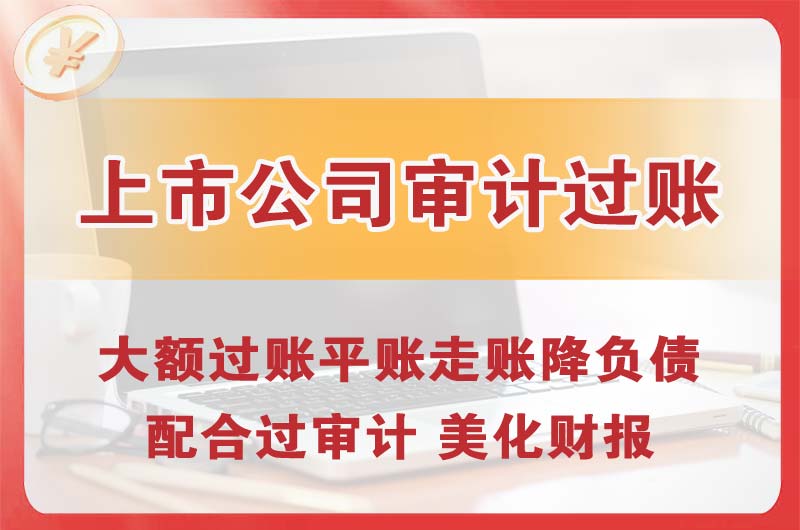 驻马店上市公司审计过账